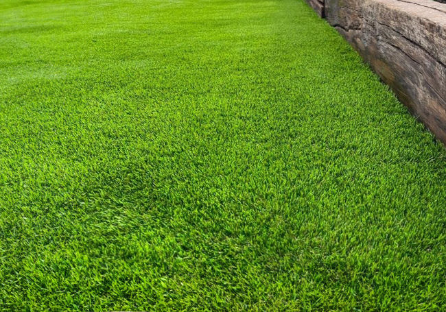 38mm Softy Artificial Grass (Per M²)