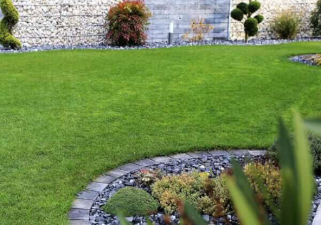 Rolawn Medallion Turf 1m² Roll