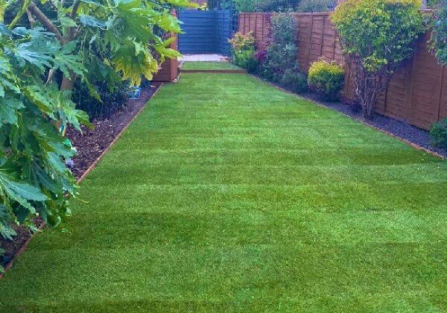 Rolawn Medallion Turf 1m² Roll