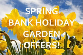 Fantastic Easter Discounts from AWBS!